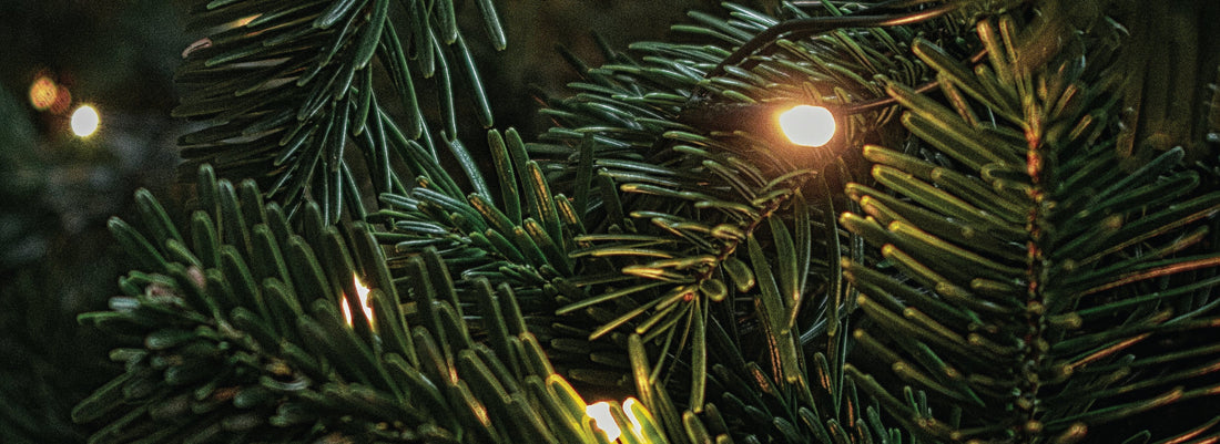 Christmas Gift Guide 2025