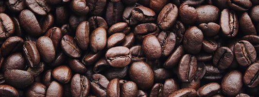 A close up shot of coffee beans